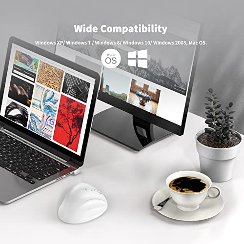 Ergonomic Wireless Mouse 2025 New Updated Smaller with USB-A Receiver for PC Computer, Laptop and Desktop, Ergo Mouse Vertical with Silent Clicks Long Battery Life, Up to 1600 DPI, White - color: White, size: USB Wireless