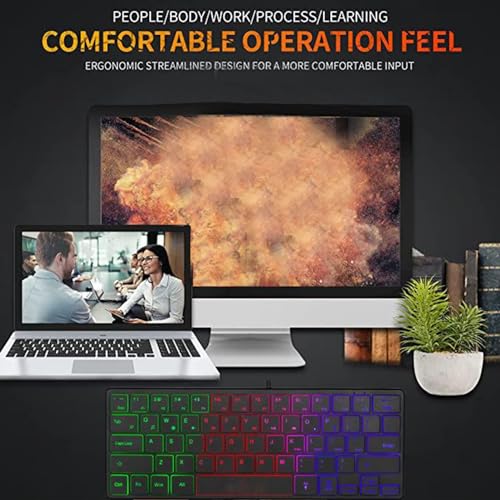 RGB Backlit Gaming Keyboard, Compact Small Keyboard for PC Laptop with Quiet, Ergonomic Design Plug and Play