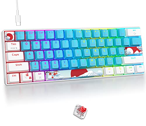 Fogruaden 60 Percent Keyboard Mechanical, Gaming Keyboard 60 Percent, RGB Backlit, Mini Wired 60% Keyboard with Red Switch for Win/Mac PC Laptop (Blue, Red Switch) - color: Blue/ Red Switch