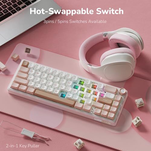 RK ROYAL KLUDGE R65 Wired Mechanical Keyboard with Volume Knob, 60% Percent RGB Backlit Gasket Mount Gaming Keyboard with PBT Keycaps, MDA Profile, QMK/VIA, 66 Keys Hot Swappable Cream Switch, Pink - color: Pink