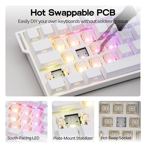 MechLands Aula Mini60 HE PRO Wireless Hall Effect Gaming Keyboard, 4000mAh | Magnetic Keyboard with 8K Polling, Fast Trigger, SOCD & DKS, Adjustable Actuation, RGB Backlit, Sound Dampening (White) - color: White
