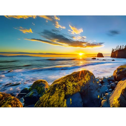 500 Pieces Puzzle for Adults - Olympic National Park Jigsaw Puzzle for Adults Teens,Recycled Cardboard Sunset Beach Puzzle 500 Pieces,Challenging Game for Family Fun & Gift Idea,20.5 x 15 in - style: Olympic Park