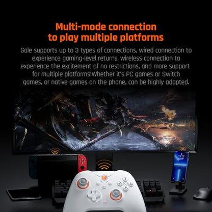 Black Shark BIGBIG WON Gale Wireless Controllers - Motion Aiming, Hall Trigger, 4 Custom Buttons - PC/iOS/Android Gaming Controller with Charging Dock - color: C.GaleSet White