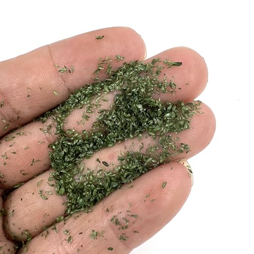 Multicolor Leaf Model - 300ml Miniature Scenery Material for Train Railway, Diorama, Car Scene & Scale Landscape Layouts (Fir Green) - color: Fir Green