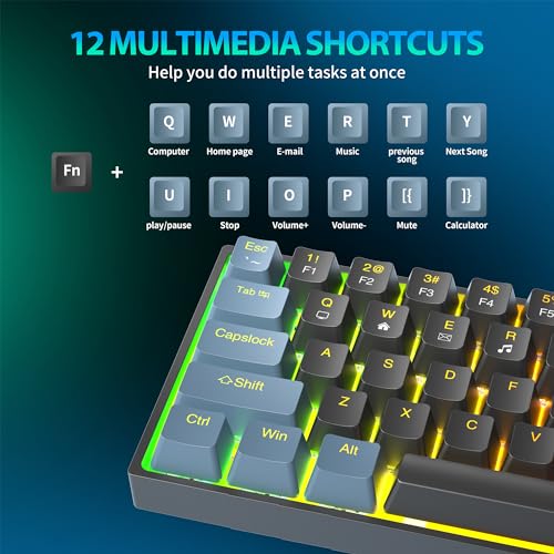 60% Percent Mechanical Gaming Keyboard, RGB Backlit 68 Keys Ultra-Compact Wired Keyboard with Detachable Type-C Cable, Full Anti-Ghost, Blue Switch Portable Mini Keyboard for Windows PC Mac Xbox Gamer