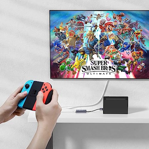 USB 2.0 to Ethernet Adapter for Nintendo Switch and Laptop – Wired LAN Network Adapter