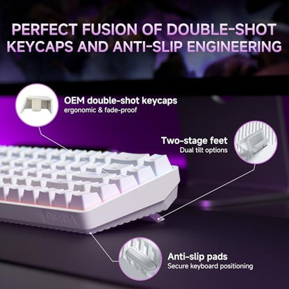 DIERYA DK68 60% Wireless Mechanical Gaming Keyboard, 3-Mode, Bluetooth 5.0/2.4G/USB-C, RGB Backlit, 68-Key Compact Mini for Windows, Mac, Linux - Clicky Blue Switch - White - color: White/Blue Switch, size: Wireless