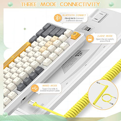 Wireless Gaming Keyboard and Wrist Rest Pad and Custom Coiled USB C Cable,Triple Mode TKL Hot Swappable Tactile Switches,LIGHTSYNC RGB,Mechanical Keyboard Palm Rest for PC PS5 PS4 Xbox Mac-3 in 1 Kit - color: White gray Blue switch