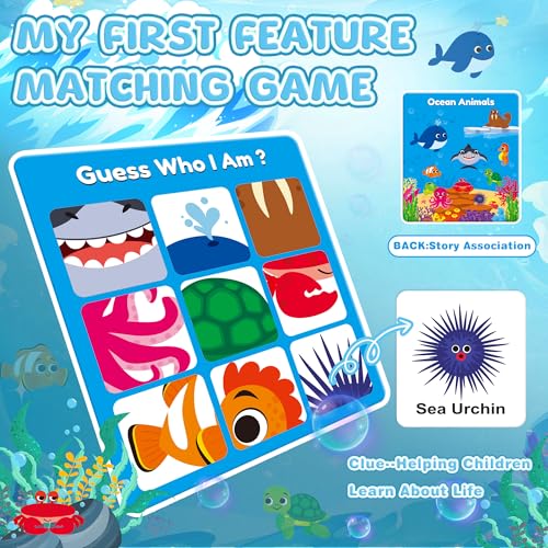 Magnetic Feature Matching Game Set with 4 Sortiing Mats, Memory Game for Kids Ages 2-4, Toddlers Sorting Toys for Kids 3 4 5, Special Education Classroom Supplies