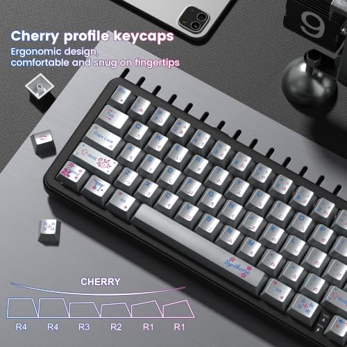 dagaladoo PBT keycaps Set,Cherry Profile Keyboard keycaps,Metal Coating | Retro key caps,Custom keycaps for 60% 65% 75% 100% Cherry-MX switch Mechanical Keyboard,Silver,130keys - color: Silver Metal Coating