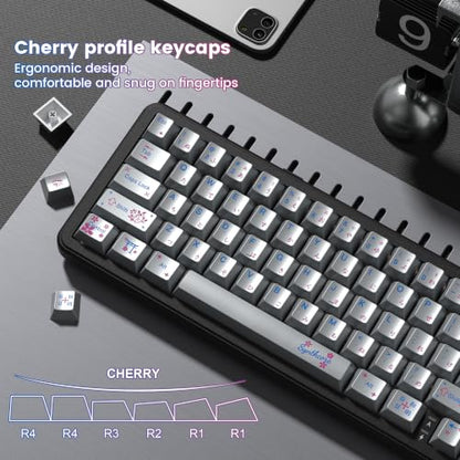dagaladoo PBT keycaps Set,Cherry Profile Keyboard keycaps,Metal Coating | Retro key caps,Custom keycaps for 60% 65% 75% 100% Cherry-MX switch Mechanical Keyboard,Silver,130keys - color: Silver Metal Coating