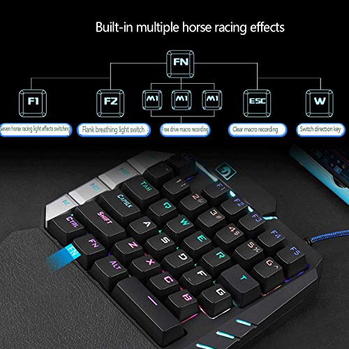 One Handed Keyboard,RGB One Hand Mechanical Gaming Keyboard, 28-Key Blue Switch, USB Wired Portable Mini-Game Keyboard, Support Wrist Rest