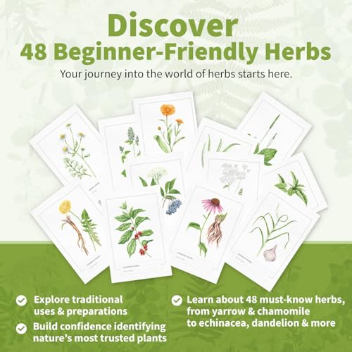 Herb Notes Plant Identification Cards, 48 Illustrated Botanical Flash Cards | Herb Cards for Plant Identification, Nature Study & Classroom Learning, Compatible with Learning Herbs Wildcraft! Board Game - style: Herb Notes