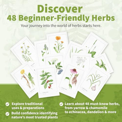 Herb Notes Plant Identification Cards, 48 Illustrated Botanical Flash Cards | Herb Cards for Plant Identification, Nature Study & Classroom Learning, Compatible with Learning Herbs Wildcraft! Board Game - style: Herb Notes