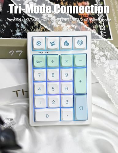 Gasket Creamy Mechanical Numpad Programmable Keypad 2.4G/BT/USB-C | Macro Numeric Number Pad Wireless 2.4G/Bluetooth 5.0/Wired USB RGB Backlit Hot Swappable Rechargeable PBT Keycaps for Win/Mac - color: Mint (21 Keys)