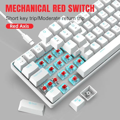Snpurdiri Portable 60% Mechanical Gaming Keyboard (White,Red Switches) | Ice Blue LED Backlit 61 Keys Mini Wired Office Keyboard for Windows Laptop PC Mac - color: White(Ice Blue Light)/Red Switch