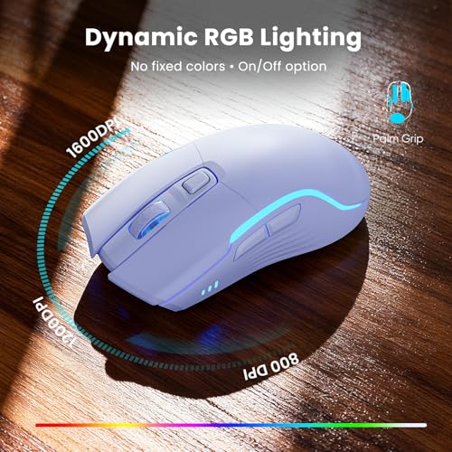 Purple Keyboard and Mouse Wireless Combo, 4000mAh Rechargeable Backlit Quiet Keyboards mice Set, USB Ergonomic Key Board with Wrist Rest & Phone Holder for PC, Mac, Windows, Natural Soft Typing - color: Purple