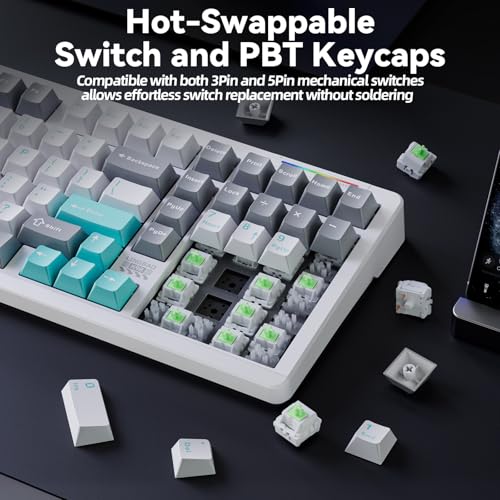 LINGBAO K98 - 96% Mechanical Keyboard Wireless,10000mAh Battery,Wireless Gaming Keyboard BT5.0/2.4G/USB-C, Gasket Hot Swappable,RGB Backlit, Creamy Sounding Keyboards with Number Pad for Win/Mac/PC - color: K98 | 10000mAh | White Blue Grey