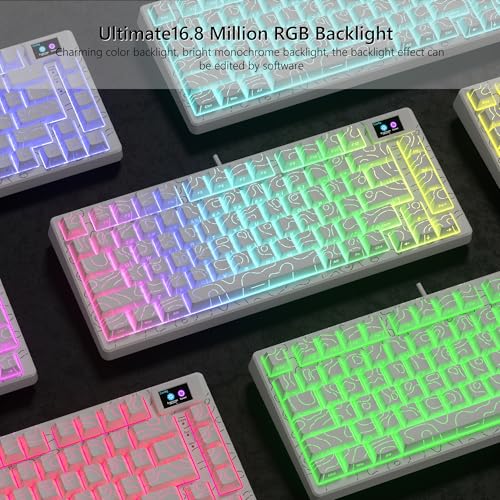 Womier SK80 75% Percent Keyboard Gaming with Color Multimedia Display | Mechanical Keyboard Topographic, Hot Swappable Gasket Mount RGB Creamy Key board Pre-lubed POM Switch for Mac/Win,White - color: White Topographic