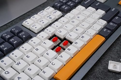 Willow Mechanical Keyboard, 102 Keys, MAC/Win, Space Gray, Gateron Red Linear Hot Swap Switches, RF 2.4, Bluetooth, USB, PBT Keycaps, Aluminum Top