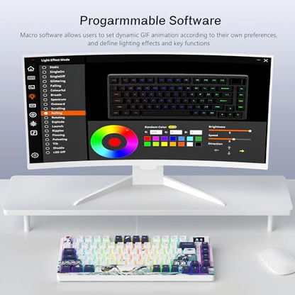 Womier SK80 75% Keyboard with Color Multimedia Display Gaming Keyboard | Creamy Sound Mechanical Wired Hot Swappable Gasket RGB Custom Key board, Pre-lubed Stabilizer for Mac/Win, White Kanagawa - color: Kanagaa White