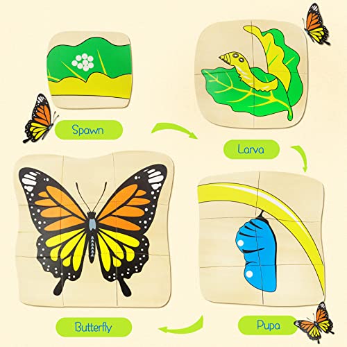 Montessori Wooden Puzzles for Kids Ages 4-8, 4 Layer Life Cycle of Butterfly Jigsaw Puzzle for Toddlers, Children Preschool Learning Educational Puzzles Spring Toys Gift for Boys and Girls (Butterfly) - style: Butterfly