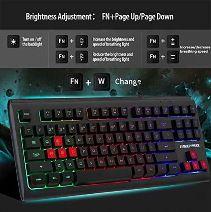 Lumsburry Computer Keyboard, 87 Keys Compact Wired USB Keyboard with Rainbow LED Light Up Backlit for PC Gaming Laptop Teclado Gamers Office Working