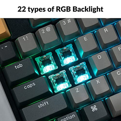 Keychron C2 Pro Wired Custom Mechanical Keyboard Full Size Layout QMK/VIA Programmable Macro RGB Backlit with Hot-Swappable Keychron K Pro Brown Switch OEM Profile PBT Keycaps for Mac Windows Linux - style: Hot-swap Keychron K Pro Brown Switch