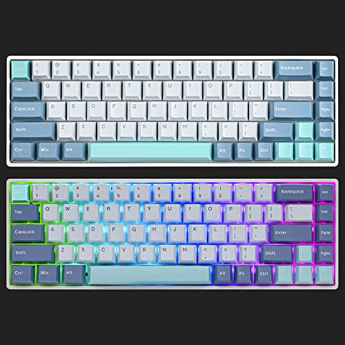 PBT shoko Custom keycaps，168 Key Cherry Profile Doubleshot Key Cap Set for 60%/64/84/108 Cherry/gateron MX switches US ANSI Layout Mechanical Keyboard - color: Shoko