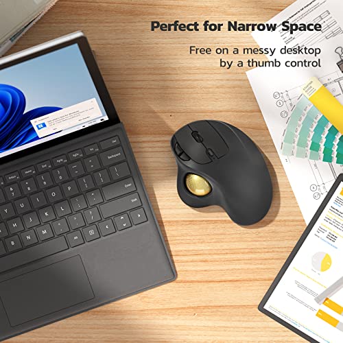 Nulea M501 Wireless Trackball Mouse Ergonomic Thumb Control, 4 DPI Levels | Rechargeable rollerball mouse with Bluetooth USB receiver,3 device use,smooth tracking,compatible with PC Mac Windows-Gold - color: H-Gold