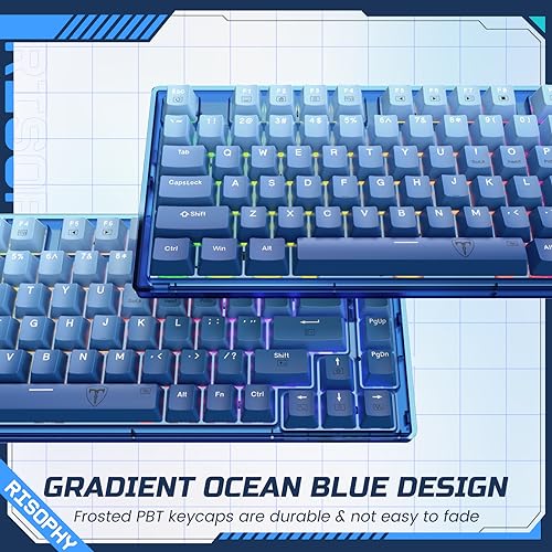RisoPhy 60 Percent Mechanical Gaming Keyboard - 82 Keys Hot Swappable, Linear Silent Red Switches, Blue PBT Keycaps, Compact Mini RGB Led Backlit Wired, Pro Driver Supported