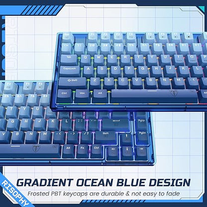 RisoPhy 60 Percent Mechanical Gaming Keyboard - 82 Keys Hot Swappable, Linear Silent Red Switches, Blue PBT Keycaps, Compact Mini RGB Led Backlit Wired, Pro Driver Supported