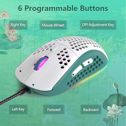 RK-T60 Wired 60% TKL Mechanical Gaming Keyboard Led Rainbow Backlight Ultra-Compact NKRO Linear Red Switch ABS Keycap RGB Honeycomb Mice Coiled Aviator Cable for Windows Laptop PS4/PC/WIN Gamer - color: Green/Blue Switch