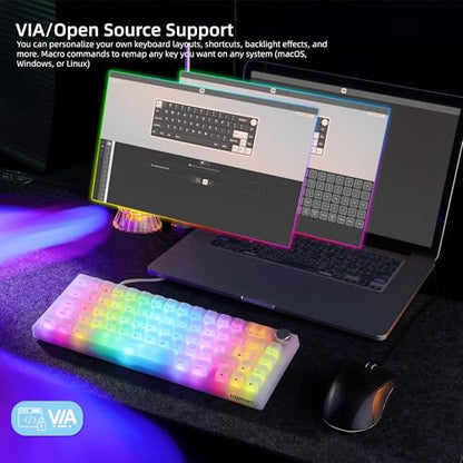 Womier Wireless 60% Gaming Keyboard with Dedicated Knob,Mechanical Keyboard | QMK/VIA Creamy Keyboard Tri-Mode Thocky Custom Jelly White Key Board, Hot Swappable Gasket Mount RGB for Win/Mac(Q61 V2) - color: White Jelly-Q61 V2