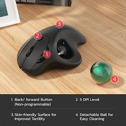 Nulea M501 Wireless Trackball Mouse, Rechargeable Ergonomic, Easy Thumb Control, Precise & Smooth Tracking, 3 Device Connection (Bluetooth or USB Receiver), Compatible for PC, Laptop, Mac, Windows. | Rechargeable rollerball mouse with Bluetooth USB receiv