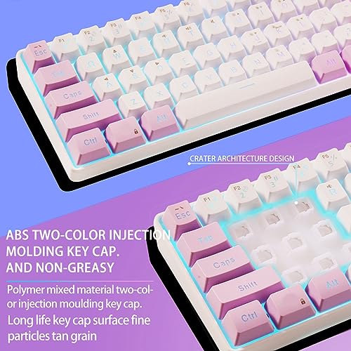 Dioche Mini Keyboard, 60 Percent 61 Keys Wired Gaming Keyboard RGB Small Gaming Keyboard Imitated Mechanical Compact for Typist Desktop, Laptop (Pink White)