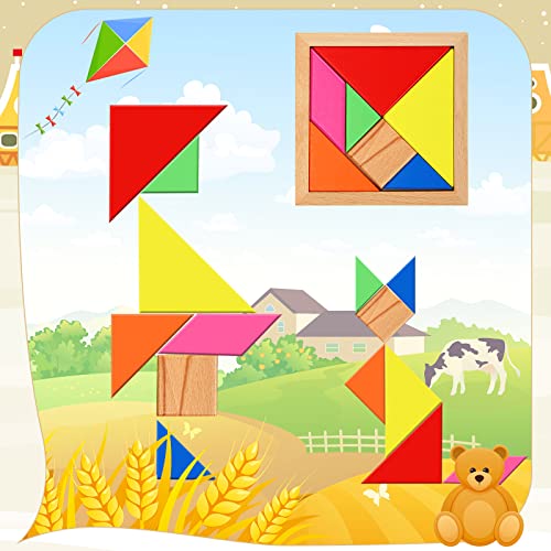 Jerify 5 Pack Wooden Tangram Puzzle for Kids, Brain Teaser Puzzles | Wooden Hexagon Puzzle Block Teaser, Pattern Blocks, Tangram Puzzle, Geometric Shapes Tangram Games, Boys Girls Toddler 1-3 - style: Geometry