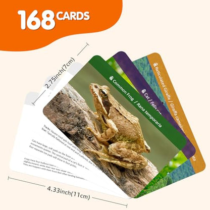 MEROCO Safari Animal Tracks Card Game, Farm Animal Flash Cards, Matching Game - Kids Science Learning Educational Toys for Homeschool, Preschool, Autism - 3 Years Old & Up - style: Triple Tracks Card Sets (70% Choose)