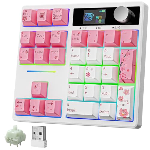 BOYI TD31Pro Gaming Keypad,BT5.0/2.4G/Type-C Wireless Numeric Keypad,RGB HotSwap Numpad Mechanical Number Pad,Gasket Number keypad Shortcut Keyboard(Romatic Cherry Blossom Keycaps) - color: Pink-Cherry Blossom
