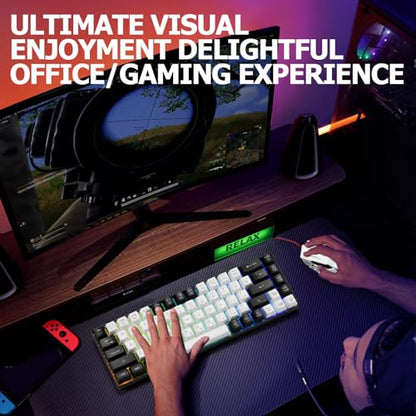 Guiheng Wired 60% Gaming Keyboard and Mouse Combo, Ultra-Compact 61 Keys RGB Backlit Mini Keyboard, Lightweight 3200 DPI Optical, Wired Gaming Set for Windows,PC, MAC PS5 Xbox Gamer(White-Black) - color: White and Black combo