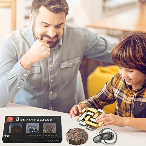 Skylety 3 Pieces Metal Puzzles Brain Teasers Christmas 3D Metal Puzzles Gift for Adults & Teens Iq Logic Games Unlock Interlocking Knot Puzzle Hard Educational(Stylish Style)