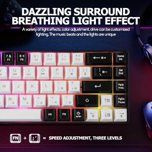 Guiheng Wired Portable 60% Mechanical Gaming Keyboard,RGB LED Backlit Compact 68 Keys Mini Wired Office Keyboard with Red Switch for Windows Laptop PC Mac - White - color: White and black