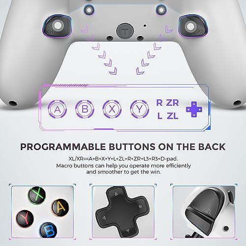 ECHTPower Switch 2 Pro Controller with Hall Effect Joysticks, One-Key Wake-Up for Switch 2, Wireless Controller for Switch 2/Switch/Lite/OLED, Turbo Button, 4 Back Buttons, RGB Lighting, 3.5mm Jack, Dual Vibration, 6-Axis Gyro (White 1) - color: White 1