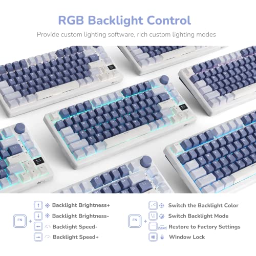 RK ROYAL KLUDGE M75 Mechanical Keyboard with OLED Smart Display and Volume Knob, 2.4G/USB-C/BT Gasket Mounted 75% Layout Wireless Gaming Keyboard with 81 Keys, RGB Backlit Hot-Swap Fast Silver Switch
