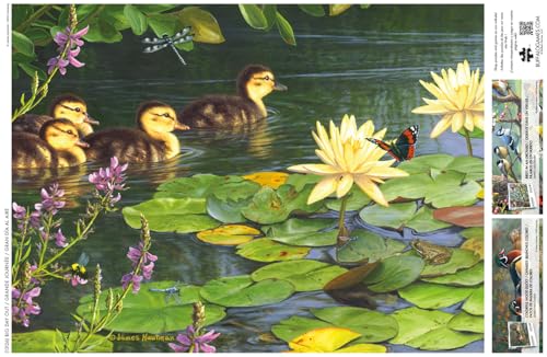 Buffalo Games - Big Day Out - 1000 Piece Jigsaw Puzzle for Adults | Art by James Hautman, Made in USA, Recycled Board, Finished Size 26.75 x 19.75 in, Includes Poster, Giftable, Frameable Art