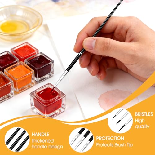 60 PCS Fine Detail Paint Brushes Set, #0#00#000 Small Paint Brushes | for Miniatures, Acrylics & Watercolor, Ultra Thin Paint Brush for Model Crafts, Touch up & Paint by Numbers
