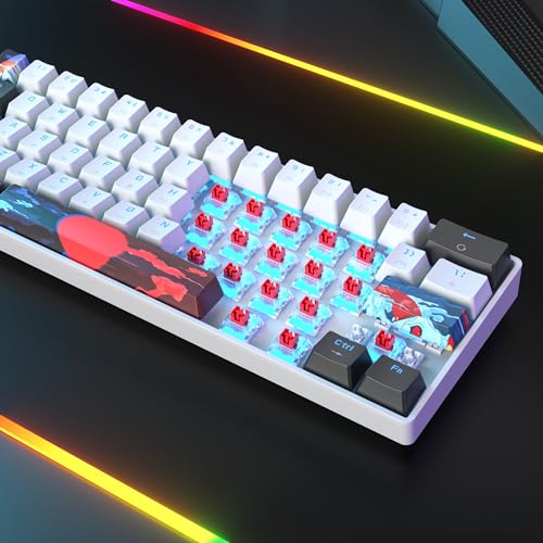 Protable 60% Percent Gaming Keyboard Mechanical, Mini Compact Ice-Blue LED Backlit 61 Keys Wired Office Keyboard with red Switch for Mac/Win/PS4/PS5（61White/red Switch） - color: 61White/red Switch