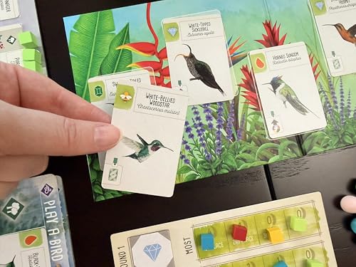 Stonemaier Games: Wingspan Americas Expansion by Elizabeth Hargrave | Add to Wingspan | Includes Small Hummingbird Cards with New Mechanism, 111 Unique New Colorful Birds, & More | 1-5 Players, 90 Min