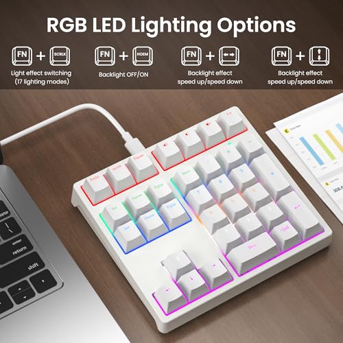 Gurjot Number Pad，Mechanical USB Wired Numeric Keypad with RGB LED Backlit,34 Keys Numpad Keyboard with PBT Keycaps Blue Switches for Windows/Mac Laptop,Computer,Desktop,PC,Notebook (White) - color: white