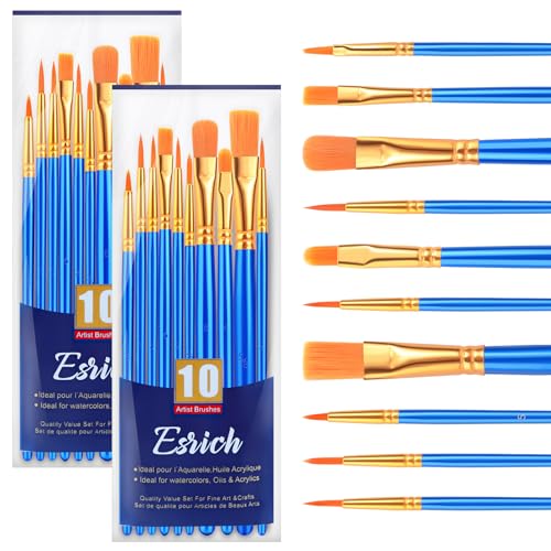 ESRICH Paint Brushes Set,2 Packs 20 Pcs Acrylic Paint Brush Set,Watercolor Oil Acrylic Nylon Hair Brushes,Artist Paintbrushes for Acrylic Oil Watercolor Painting Artist Professional Kits,Blue - color: Blue, size: 20
